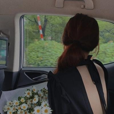 金车美人