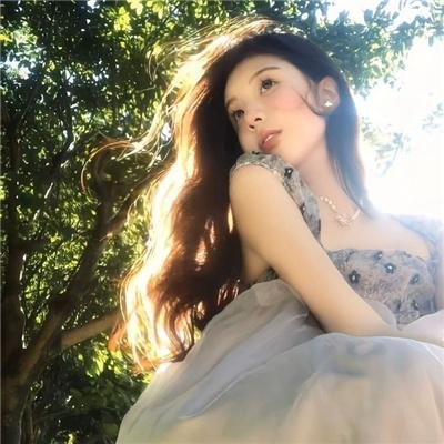 菊石
